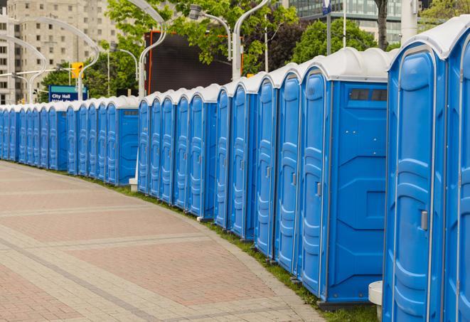 Seasonal porta potty units set up at a Madison, Wisconsin venue